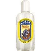 AROMATIZANTE COALA EUCALIPTO 140ML